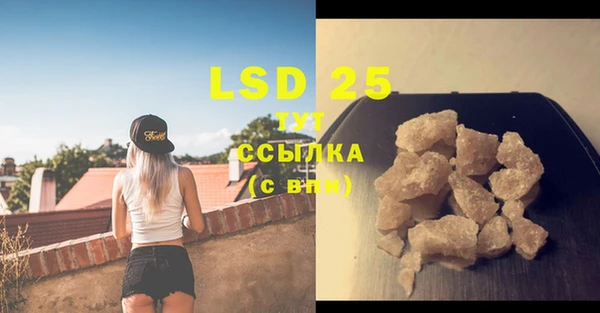 PSILOCYBIN Бугульма